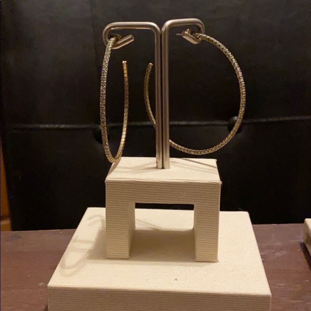 Earring display